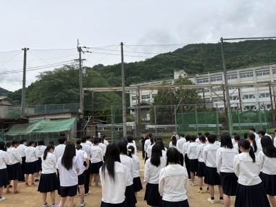S__81313803_0